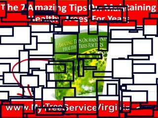 Pest Control Charlottesville VA|Save $20 Instantly