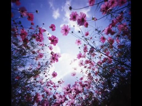 Necip Fazıl Kısakürek ŞİİR DERLEMESİ [YENİ] (Hakikate Doğru)