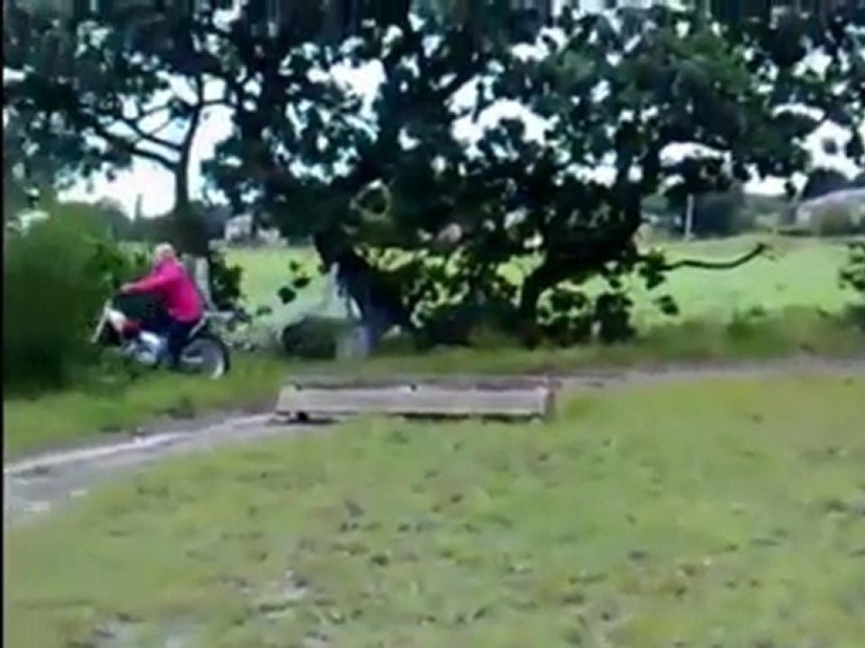 Stupid Girls Compilation