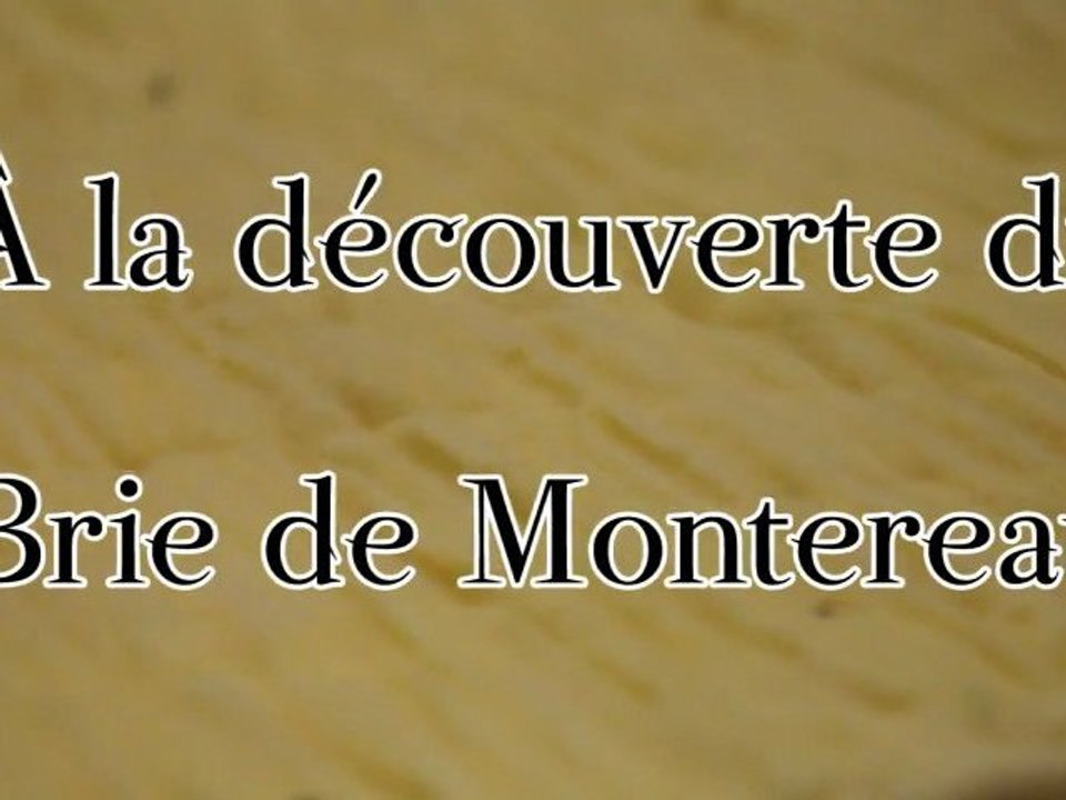 À la découverte du Brie de Montereau