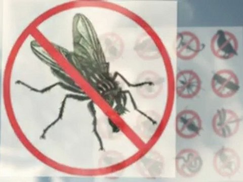 Pest control Layton UT (801) 589-8428