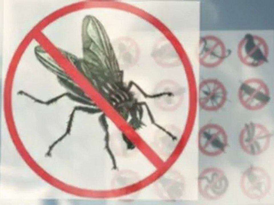 Pest control Layton UT (801) 589-8428