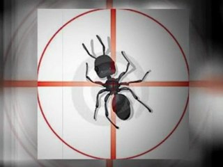 Pest Control Service Layton UT (801) 589-8428