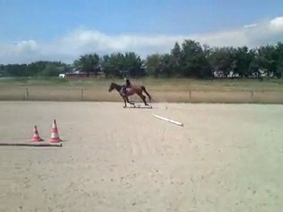 galop à main gauche