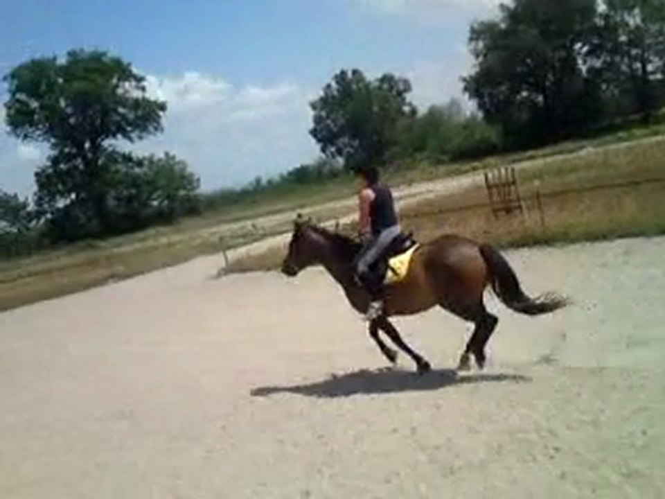 rhafira galop à gauche