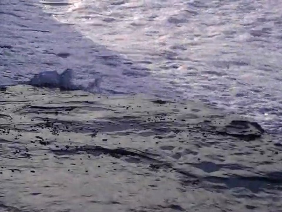 terre et mer ,slam