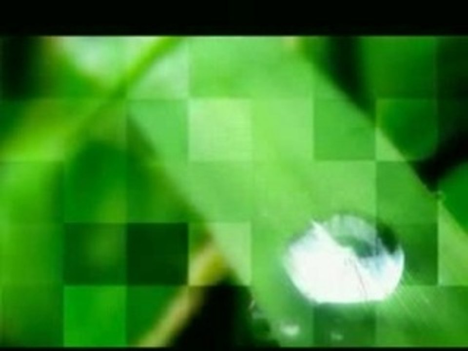 concours sandillon loulou