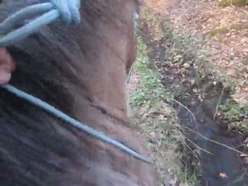 Première balade en cordelette avec Susu