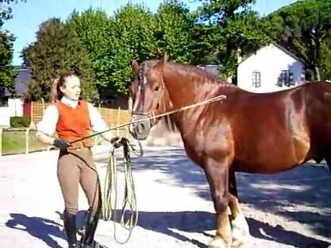 [Vimeo-1788180] 02 - Photos et Vidéos - haras de la roche su