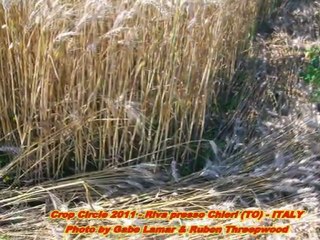 Foto - Crop Circle - Riva di Chieri (TO) Italia 26 Giugno 2011