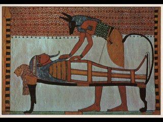 Tränenzeit - The Jackal