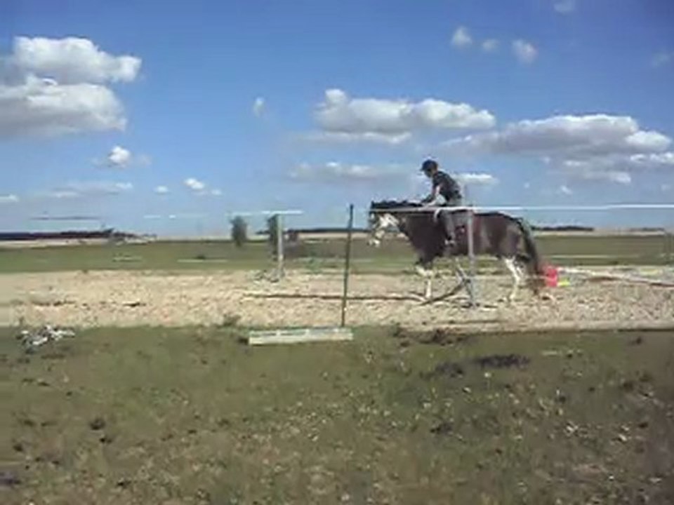 Poney-club. Les chevaux. Sauts 2B). 25/06/2011. SDC10641