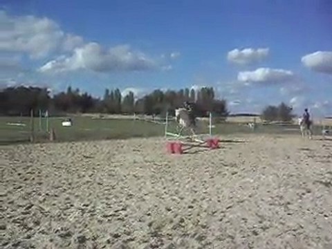 Poney-club. Les chevaux. Sauts. 4) 25/06/2011. SDC10644