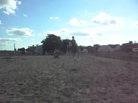 Poney-club. Les chevaux. Sauts. 2B) 25/06/2011. SDC10642