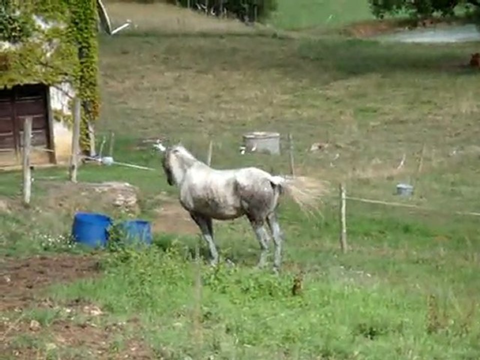 Rando Périgord juin 2011, Viela aïe aïe aïe