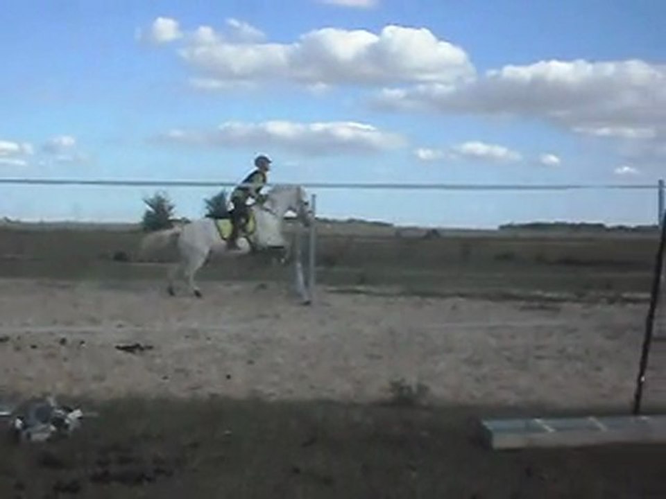 Poney-club. Les chevaux. Sauts. 3) 25/06/2011. SDC10643