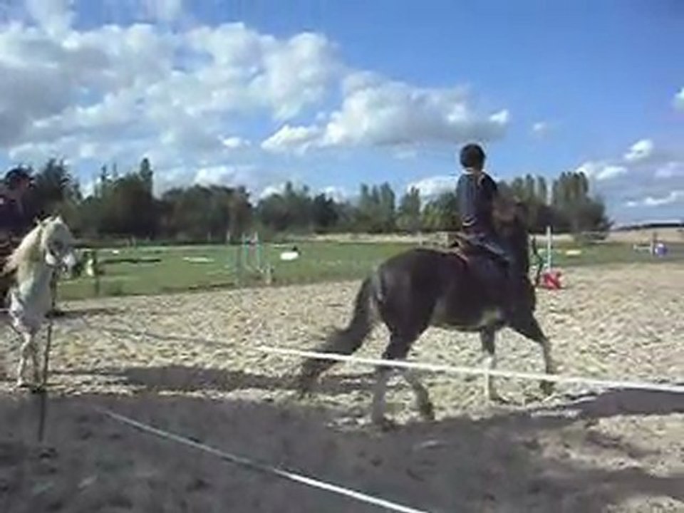 Poney-club.Les chevaux. 5) 25/06/2011. SDC10648