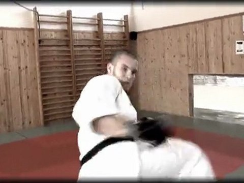 KARATE VS TAEKWONDO - Rumble in dojo bonus - trailer