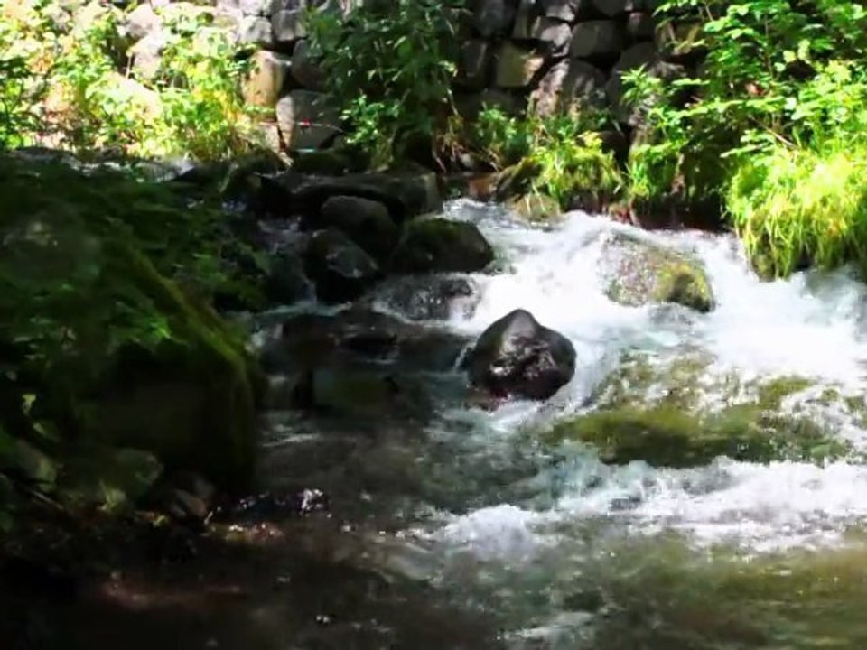 Promenade à la Cascade de la Baume