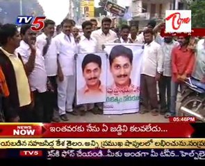 Jagan to formally announce his party within 45 days