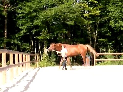 ligne droite sol mou - jeudi 30 juin 2011
