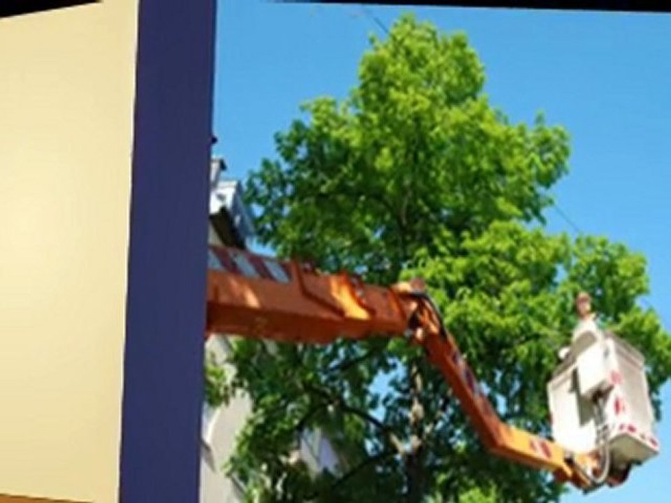 Austin Tree Trimming by American Treeworks