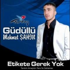 Güdüllü Mehmet Şahin - Haram olsun