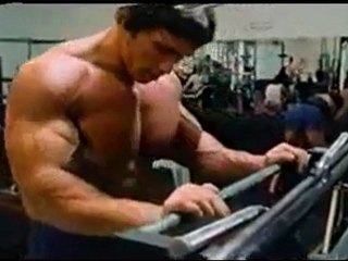 Videos Fisicoculturismo Arnold Schwarzenegger