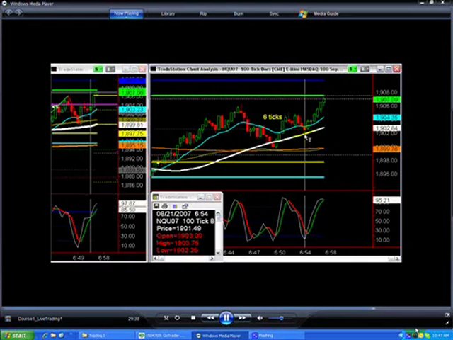 Learn Forex Trading Online; Top Dog Trading Review