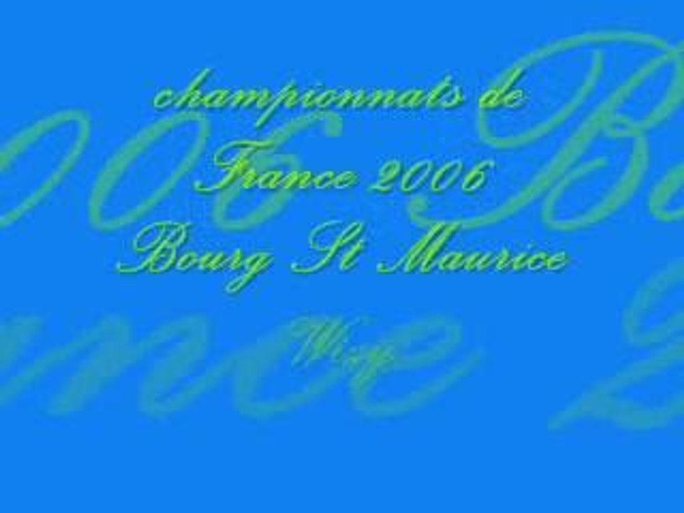 france bsm 2006 wizy