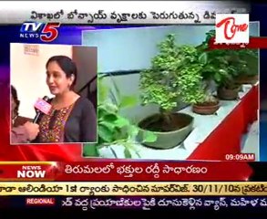 Bonsai Plants in Visakhapatnam