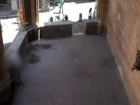 Bologna - Il rapinatore in azione in pieno centro 1