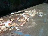 Aversa - Ancora rifiuti e degrado nel Parco Pozzi