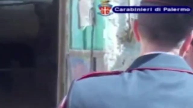 Palermo - Sequestro stalle e cavalli per corse clandestine