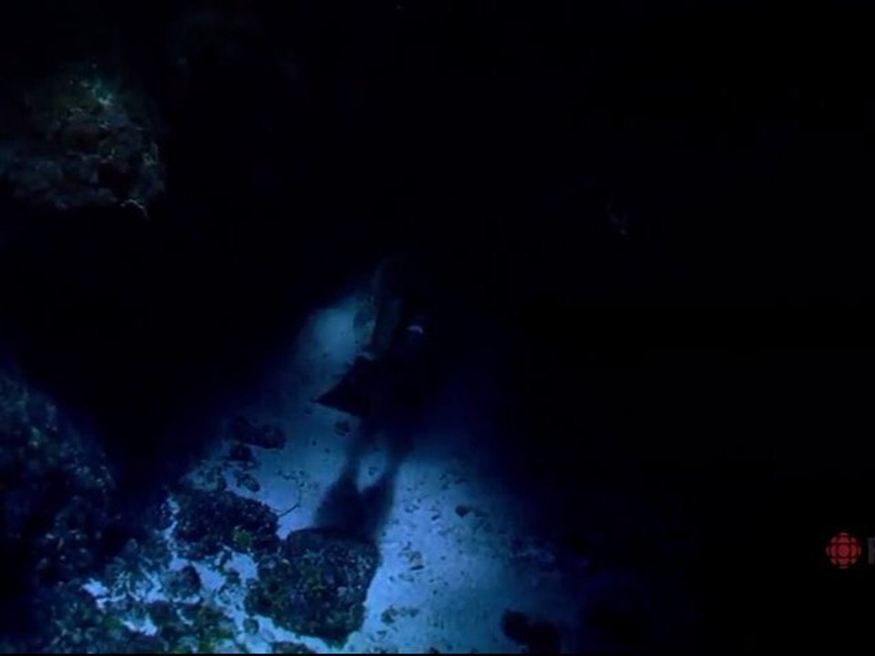 Apnée Extrème  - Les Grands Reportages Imax