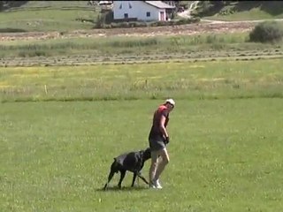 COUBRATT DEL PALAZO DI SHANTA- BH