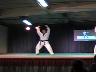 Taekwon V
