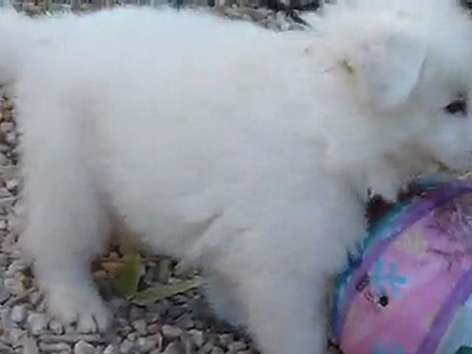 Bébés Daelynn &  Heaven