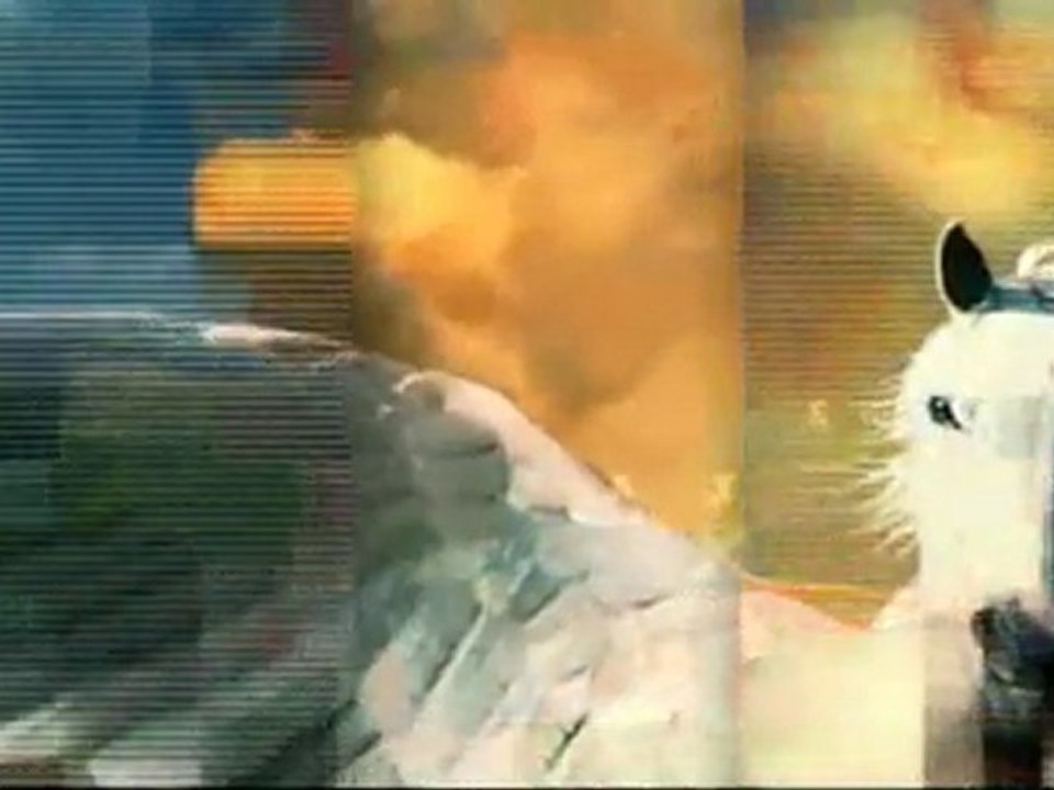 Mag Ciné 2011 N°12