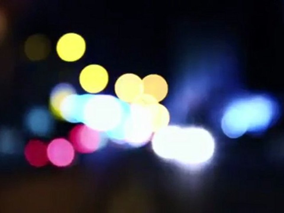 Wasp - The Government