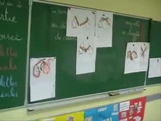 sciences cycle 3 circulation fc-ci-s3-e4
