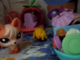 mon nouveau magasin et les changement dans ma ville petshop !!