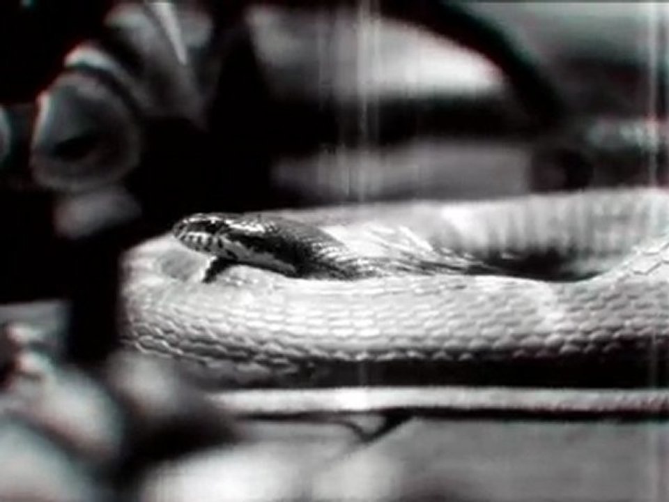 Transformers 3 - Clip "iridescent" de Linkin Park