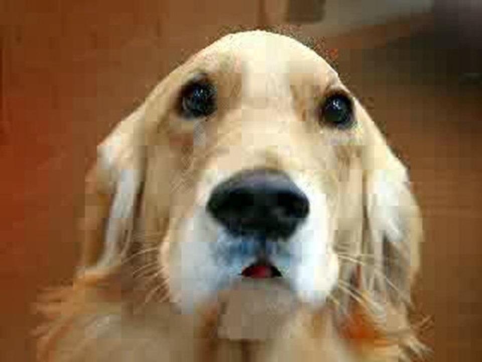 Leona lewis Moment like this