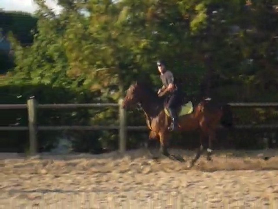 Rocco au galop