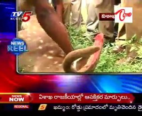 News in Andhra - Andhra Pradesh News Reel