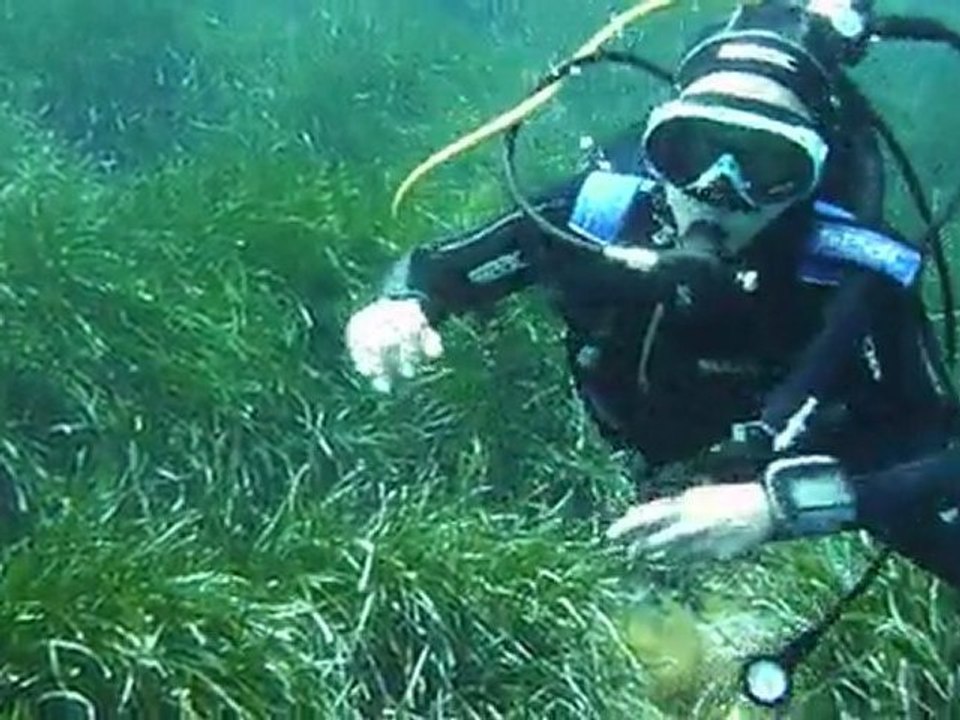 Ophélie, premier contact avec Spano