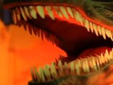 LE TEMPS DES DINOSAURES 2 L'EXPOSITION (30sec.)