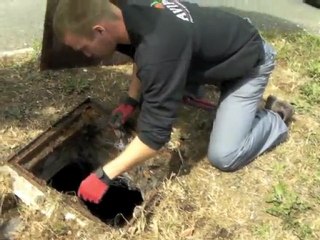 dératisation fourmies