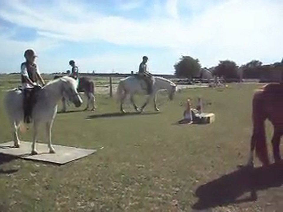 Poney-club, après le travail au sol, celui en selle. 26/06/2011. SDC10718